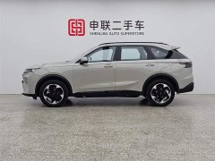 Haval MAX Hi4 110 Pro - фото 3