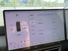 Li Auto Ideal MEGA 2025 Home Family Special Edition - фото 18