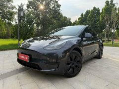 Tesla Model Y rear-wheel drive version - фото 1