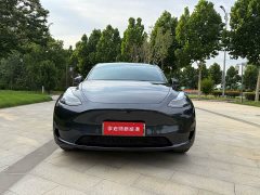 Tesla Model Y rear-wheel drive version - фото 2