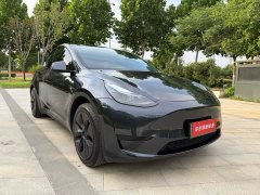 Tesla Model Y rear-wheel drive version - фото 3