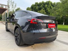Tesla Model Y rear-wheel drive version - фото 6