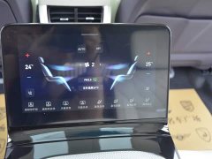 Hongqi E-HS9 2022 660km Flagship Edition Four-Seat - фото 13