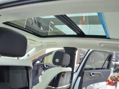 Hongqi E-HS9 2022 660km Flagship Edition Four-Seat - фото 15
