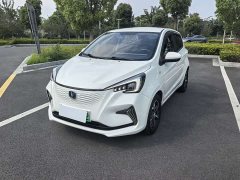 BYD E-Star Edition - фото 1