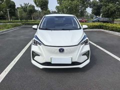 BYD E-Star Edition - фото 2