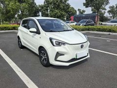 BYD E-Star Edition - фото 3