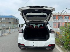Chery Tiggo 7 PLUS 1.6TGDI DCT fashion - фото 10