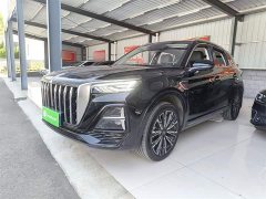 Hongqi HS5 2023 2.0T four-wheel drive Qixiang Pro version - фото 1