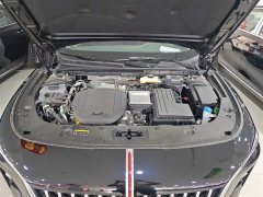 Hongqi H5 PHEV 170 super hybrid version - фото 20