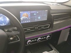Hongqi HS5 2.0T four-wheel drive flag collar Pro version - фото 9