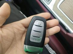 Hongqi E-HS9 690km flagship version six seats - фото 11