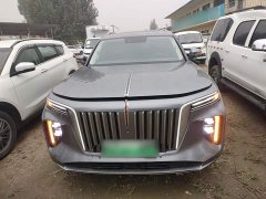Hongqi E-HS9 690km flagship version six seats - фото 19