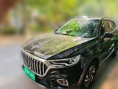 Hongqi HS5 2022 2.0T Zhilian Flagship Edition - фото 1