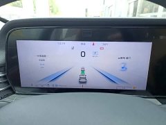 Hongqi HS5 2023 2.0T four-wheel drive flag collar Pro version - фото 8
