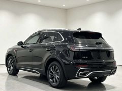 Hongqi HS5 2.0T two-wheel drive Qixiang Pro version - фото 13