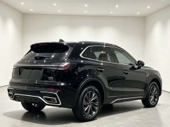 Hongqi HS5 2.0T two-wheel drive Qixiang Pro version - фото 15