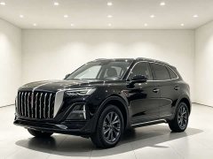 Hongqi HS5 2.0T two-wheel drive Qixiang Pro version - фото 3