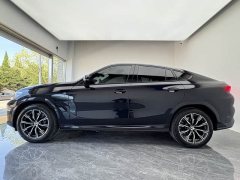 BMW X6 xDrive30i M Sports Package - фото 8