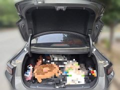 Changan Eado 1.5T GDI automatic flagship - фото 10