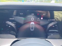 Hongqi HS7 PHEV 2024 2.0T PHEV four-wheel drive Qichang version 7 seats - фото 14