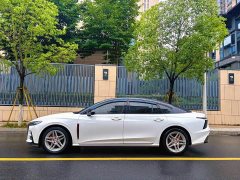 Hongqi H6 2023 2.0T Beauty Edition - фото 4