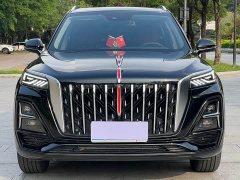 Hongqi HS5 2025 2.0T two-wheel drive Qixiang Pro version - фото 2