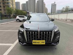 Hongqi HS5 2023 2.0T four-wheel drive Qixiang Pro version - фото 2