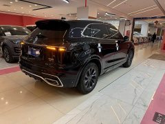 Hongqi HS5 2.0T Qixiang Pro Edition - фото 16