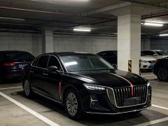 Hongqi H5 2023 1.5T DCT Zhilian Qiyue Edition - фото 3