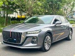 Hongqi H5 1.5T HEV Zhilian Qichang Edition - фото 3