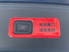 Hongqi HS5 Qixiang Pro Edition - фото 16