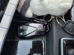 Changan EADO Enjoy Edition PLUS Blue Whale NE 1.4T GDI DCT Premium Edition - фото 12