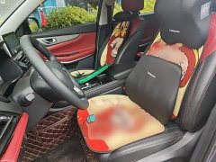 Changan CS75 2023 Enjoy Edition 1.5T DCT Premium Edition - фото 8