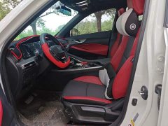 Ruicheng PLUS 1.5T DCT premium - фото 12