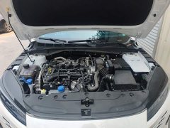 Changan Eado Blue Whale 1.5T 500Bar Premium Type - фото 11