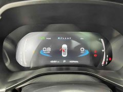 Haval Red Rabbit Exclusive Edition 1.5T Red Bronze Rabbit - фото 10