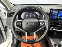 Haval Red Rabbit Exclusive Edition 1.5T Red Bronze Rabbit - фото 11