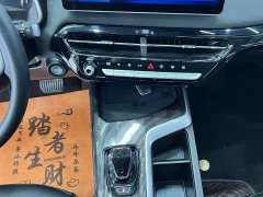 Haval Red Rabbit Exclusive Edition 1.5T Red Bronze Rabbit - фото 16