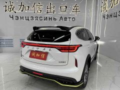 Haval Red Rabbit Exclusive Edition 1.5T Red Bronze Rabbit - фото 4