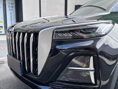 Hongqi HS5 2.0T two-wheel drive Qixiang Pro version - фото 10