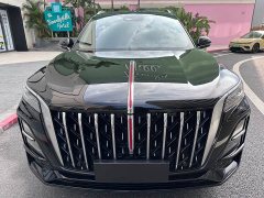 Hongqi HS5 2.0T two-wheel drive Qixiang Pro version - фото 9