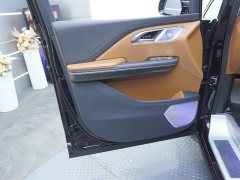 Hongqi HQ9 PHEV 2024 2.0T AWD Business Edition - фото 12