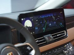 Hongqi HQ9 PHEV 2024 2.0T AWD Business Edition - фото 15