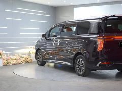 Hongqi HQ9 PHEV 2024 2.0T AWD Business Edition - фото 3