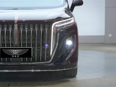 Hongqi HQ9 PHEV 2024 2.0T AWD Business Edition - фото 4