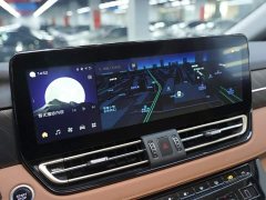 Hongqi HQ9 PHEV 2024 2.0T AWD Business Edition - фото 8