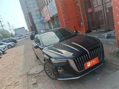 Hongqi H5 2024 1.5T DCT Zhilian Qiyun Edition - фото 3