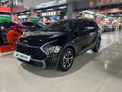 Lion Platinum Expands The Boundary Lion Extension 1.5T two-wheel drive premium version - фото 1