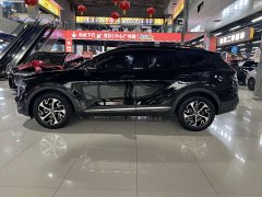 Lion Platinum Expands The Boundary Lion Extension 1.5T two-wheel drive premium version - фото 15